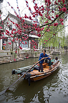 游船,旅游,周庄,上海,郊区,中国