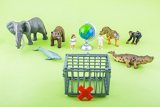 微距动物模型拍摄保护野生动物主题插图