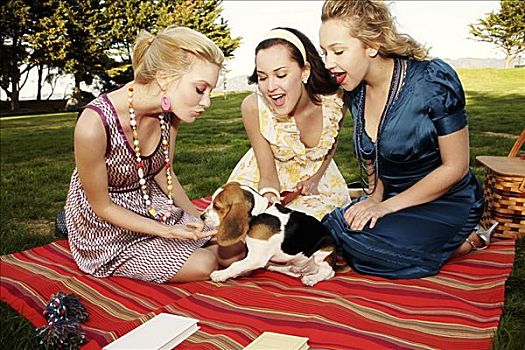 三个女人,年轻,玩,小狗,野餐