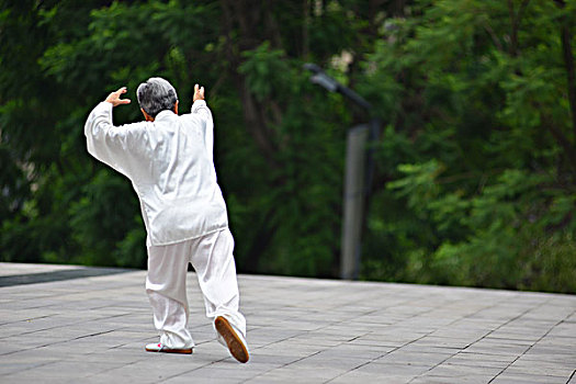 老人年打太极拳