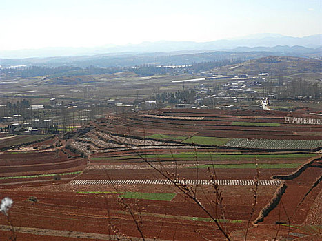 贵州风光,田园,风光,土地,梯田,村庄,云贵高原