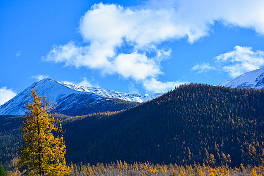 西北第一村白哈巴村秋日盛景