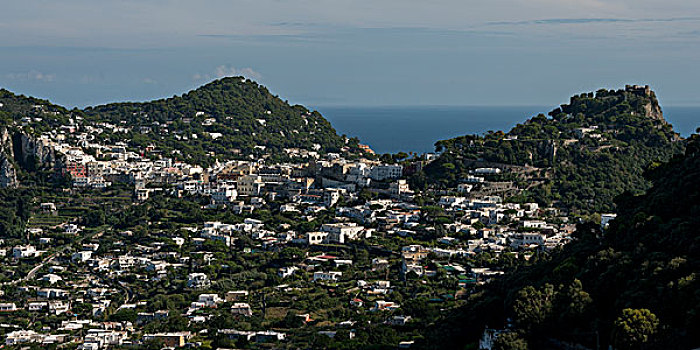 俯视图,城市,海岸,卡普里岛,坎帕尼亚区,意大利