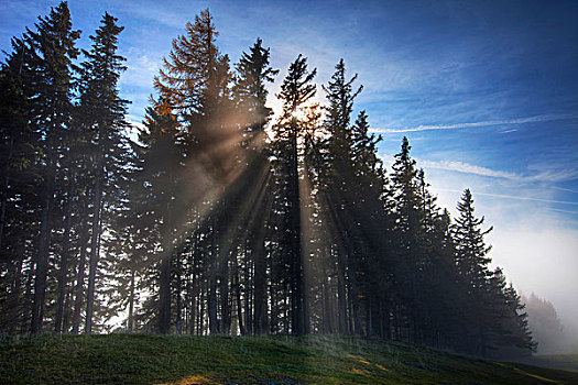 树林,太阳光线,区域,高山,施蒂里亚,奥地利,欧洲