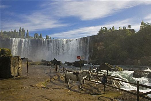 马,最大,瀑布,智利,河,南美
