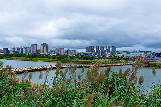 嘉陵江湿地