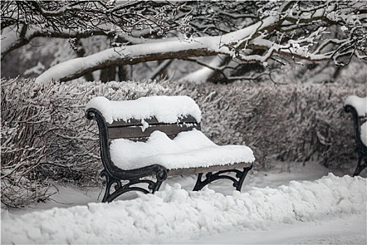 长椅,公园,积雪