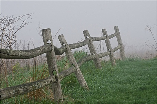 木质,栏杆,雾状,春天,早晨