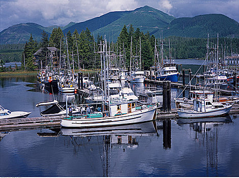 船,港口,温哥华岛,不列颠哥伦比亚省,加拿大