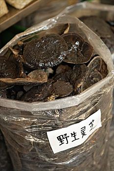 蘑菇,市场货摊,广州,中国