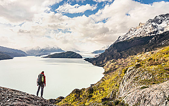 男性,远足,向外看,上方,灰色,湖,冰河,托雷德裴恩国家公园,智利
