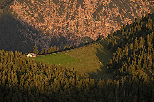 风景,早晨,巴伐利亚阿尔卑斯山,上巴伐利亚,巴伐利亚,德国