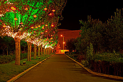 夜晚路边一排整齐的树挂着中国灯笼和彩灯