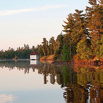 反射,树,水中,湖,木头,安大略省,加拿大