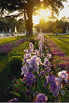 杜乐丽花园,日落,巴黎,法国