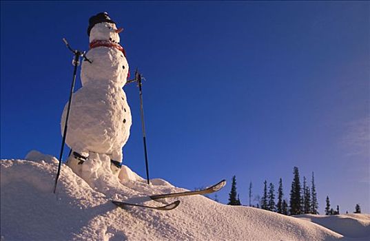 雪人,滑雪,楚加奇山,阿拉斯加,冬天