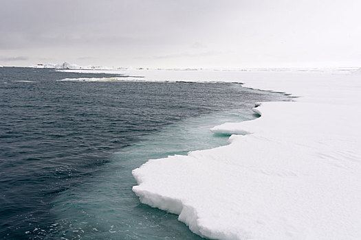 海冰,北冰洋,南,冰盖,斯瓦尔巴特群岛,挪威