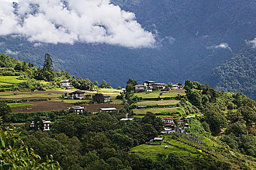 不丹,乡村,农田,山