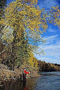投掷,河,不列颠哥伦比亚省,加拿大