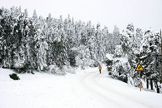 重庆武隆仙女山雪景