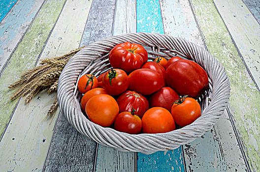 西红柿,篮子,勃兰登堡,德国,欧洲