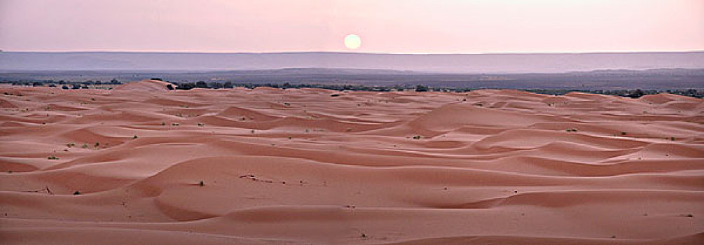 沙漠,黎明,撒哈拉沙漠,摩洛哥
