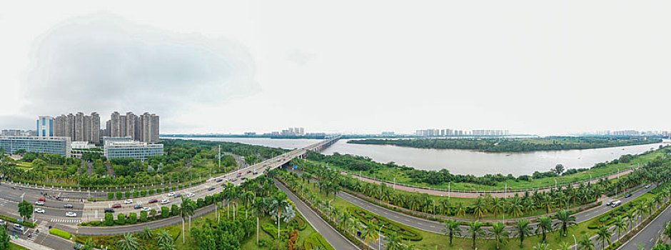 航拍海南海口国兴大道与滨江路道路街景,椰子树棕榈树等热带植物行道树