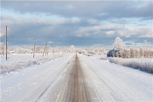 白色,冬天,道路