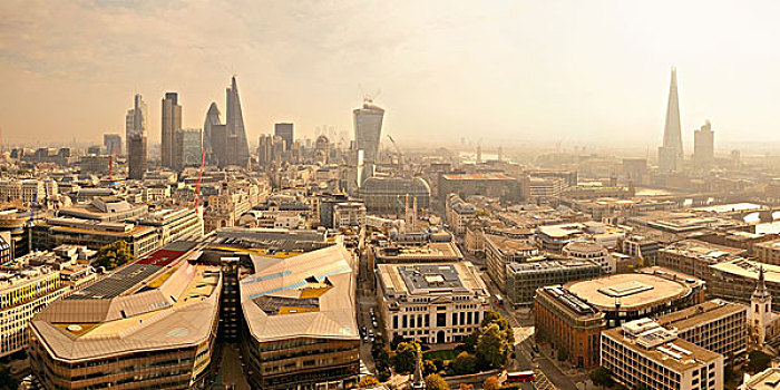 伦敦,屋顶,风景,全景