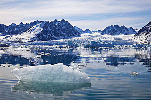 浮冰,漂浮,峡湾,摩纳哥,冰河,斯匹次卑尔根岛,挪威