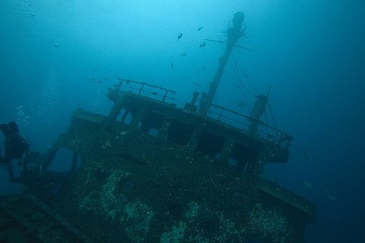潜水,马尔代夫,印度洋
