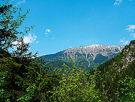 山顶,风景