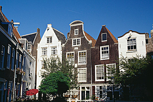 建筑,独栋别墅,排列,阿姆斯特丹,荷兰