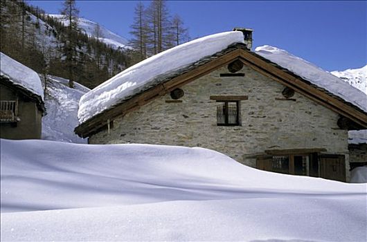 木房子,雪