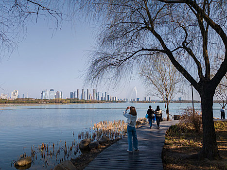 春到蠡湖湿地