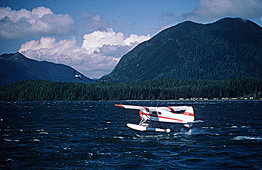 太平洋沿岸,海狸,水上飞机,港口,温哥华岛,不列颠哥伦比亚省,加拿大