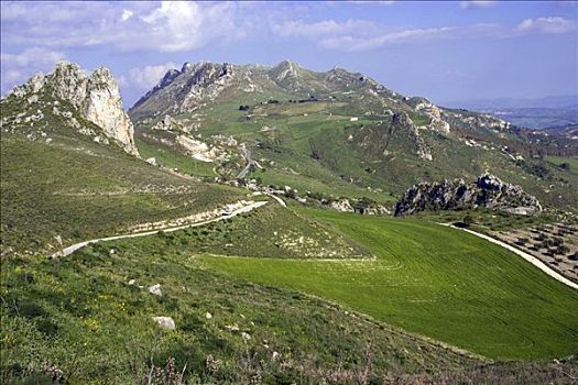 山景,绿色,地点,农业,省,阿格里琴托,西西里,意大利