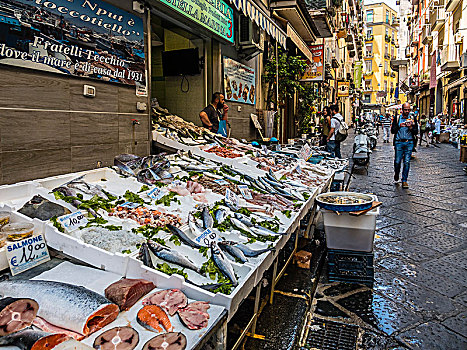 鱼店,老城,那不勒斯,坎帕尼亚区,意大利,欧洲