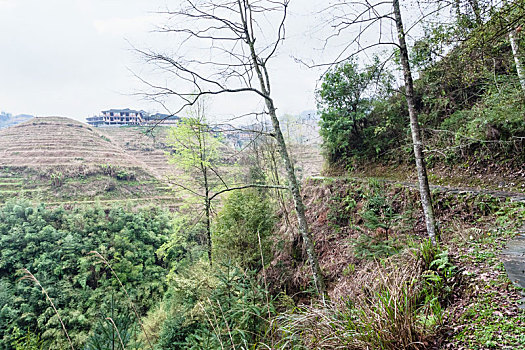 风景,房子,阶梯状,山