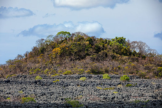 岩石构造,马达加斯加,荒野