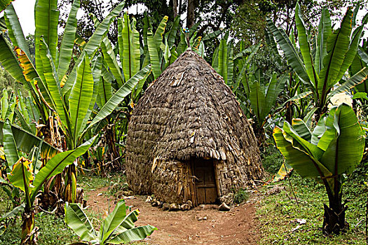 小屋,乡村,靠近,奥莫山谷,南,埃塞俄比亚,非洲