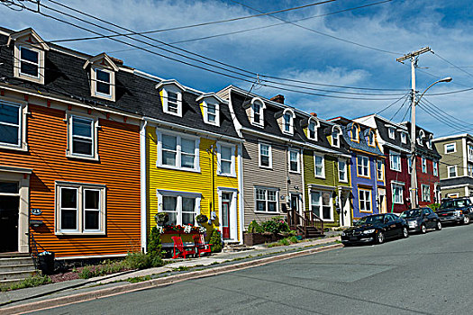 鲜明,色彩,房子,排列,纽芬兰,加拿大