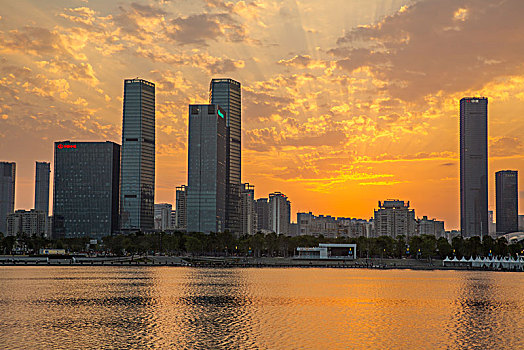 傍晚的深圳市南山区后海片区