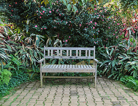 长椅,座椅,绿色,花园,花,植物