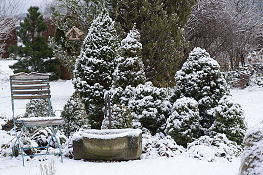 雪,花园,研钵体,云杉