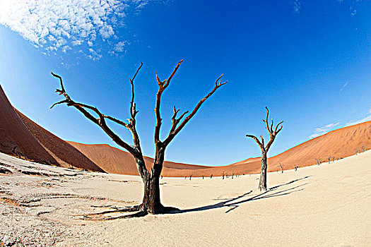 纳米比亚,纳米布沙漠,纳米比诺克陆夫国家公园,死亡谷