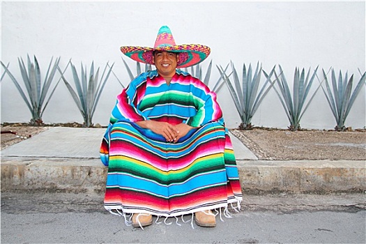 墨西哥人,男人,坐,阔边帽,龙舌兰,仙人掌
