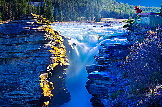 人,注视,阿萨巴斯卡瀑布,早晨,碧玉国家公园,艾伯塔省,加拿大