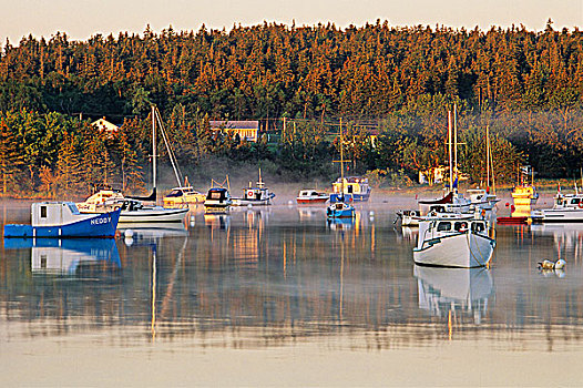 游艇,渔船,薄雾,河,胸罩,湖,布雷顿角,新斯科舍省,加拿大