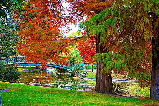 秋天,公园,河